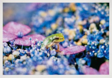 ＜実行委員特別賞＞「小さな友達」伊原 耕作