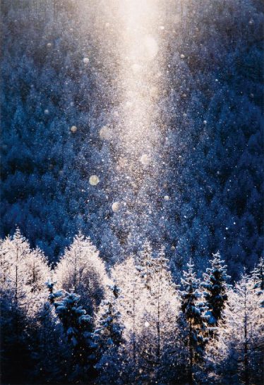 「光精」菅沼　美恵子