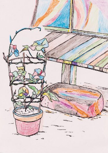 「えんがわの朝顔」竹村　光