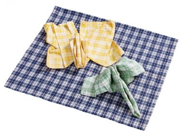 「テーブルナプキン折り「蝶」と「トンボ」」八木　清治