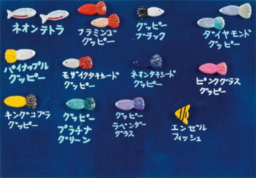 「魚たちの名前」伊藤 直