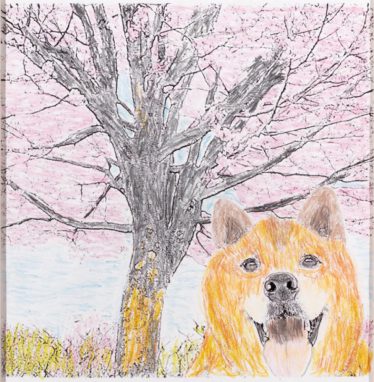「桜と犬」長沼 百合子