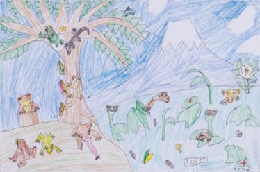 「カエル村」サンタ13世