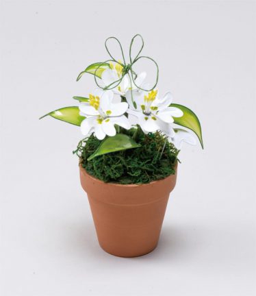 「しばふに咲くかわいいお花」柳久保 美智子