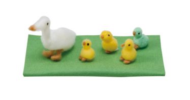 「ふぞろいのアヒルたち」熊谷 好晃