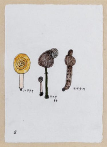 「秋のマツタケ」村松 信司