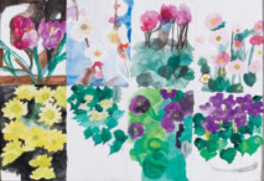 「誕生花」K・T