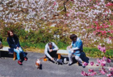 「ペットも散歩」太田 登