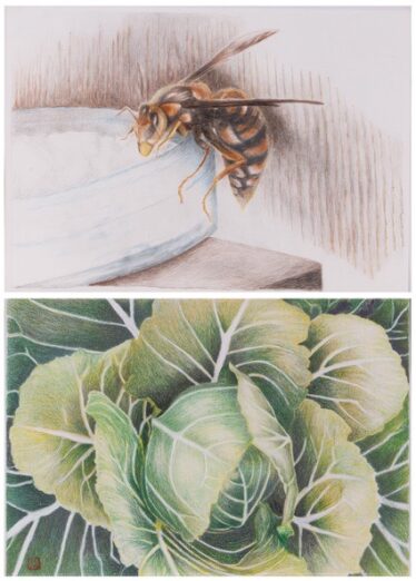 「左手の世界」北原 公