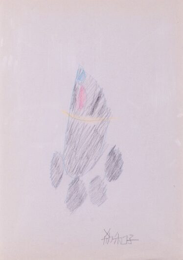 「カメちゃん」高木 希和子