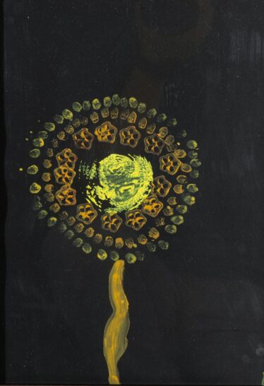 「きれいな花火」　R