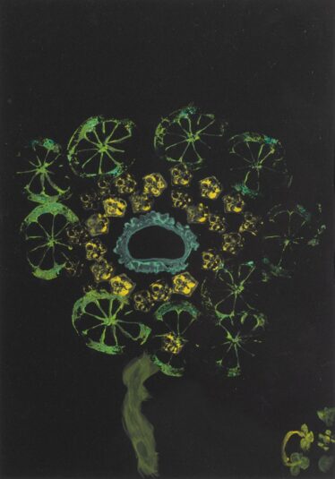 「やさい花火」　C