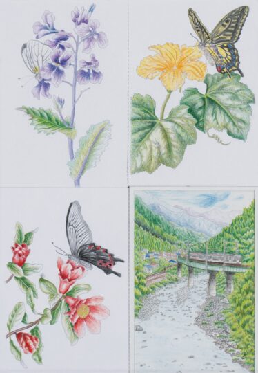 「左手の世界」　北原 公