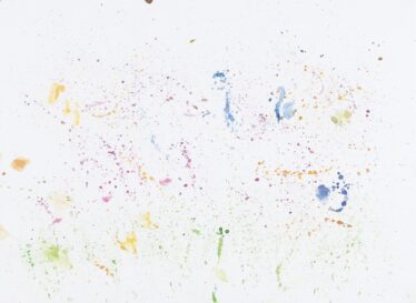 「お花畑」　橋本 彩生