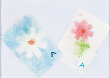 「コスモス」　橋本 彩生