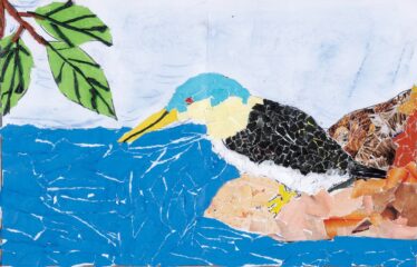 「水辺とカワセミ」　窪田 一實